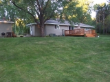 Back View Before