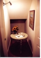 Lower Level Finished closet under stairway