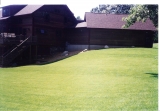 Back view