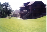 Back view