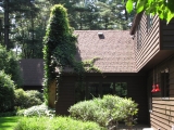 Right view