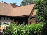 Left view